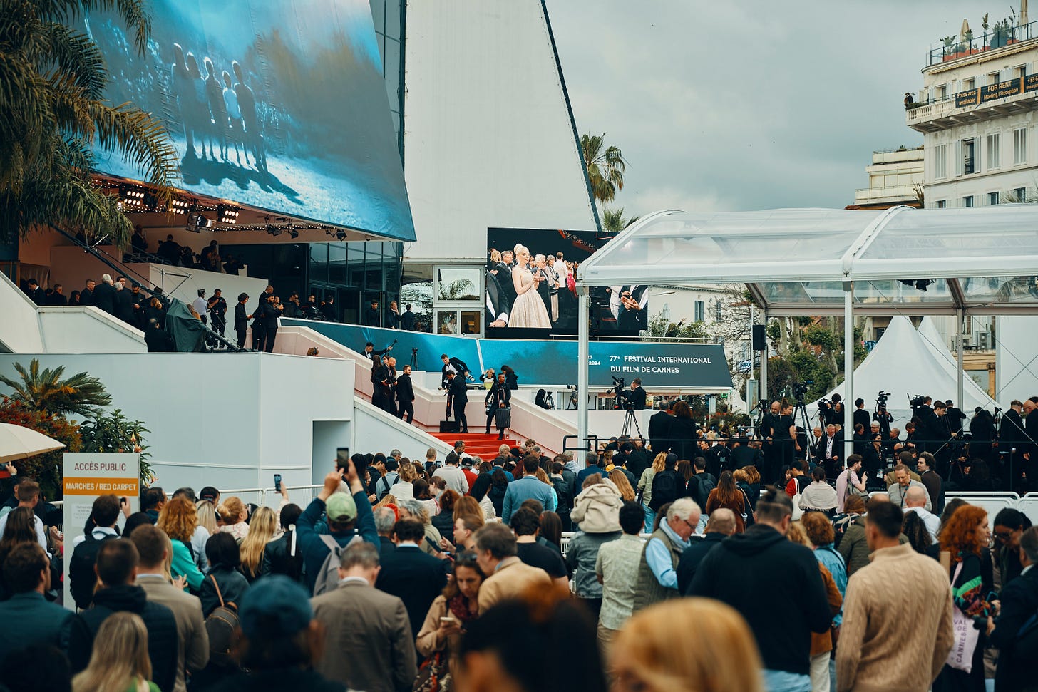 A red carpet on stairs surrounded by a countless mass of people, above which is a big screen showing a movie.