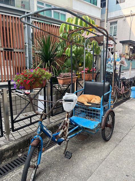 Tai O Fishing Village