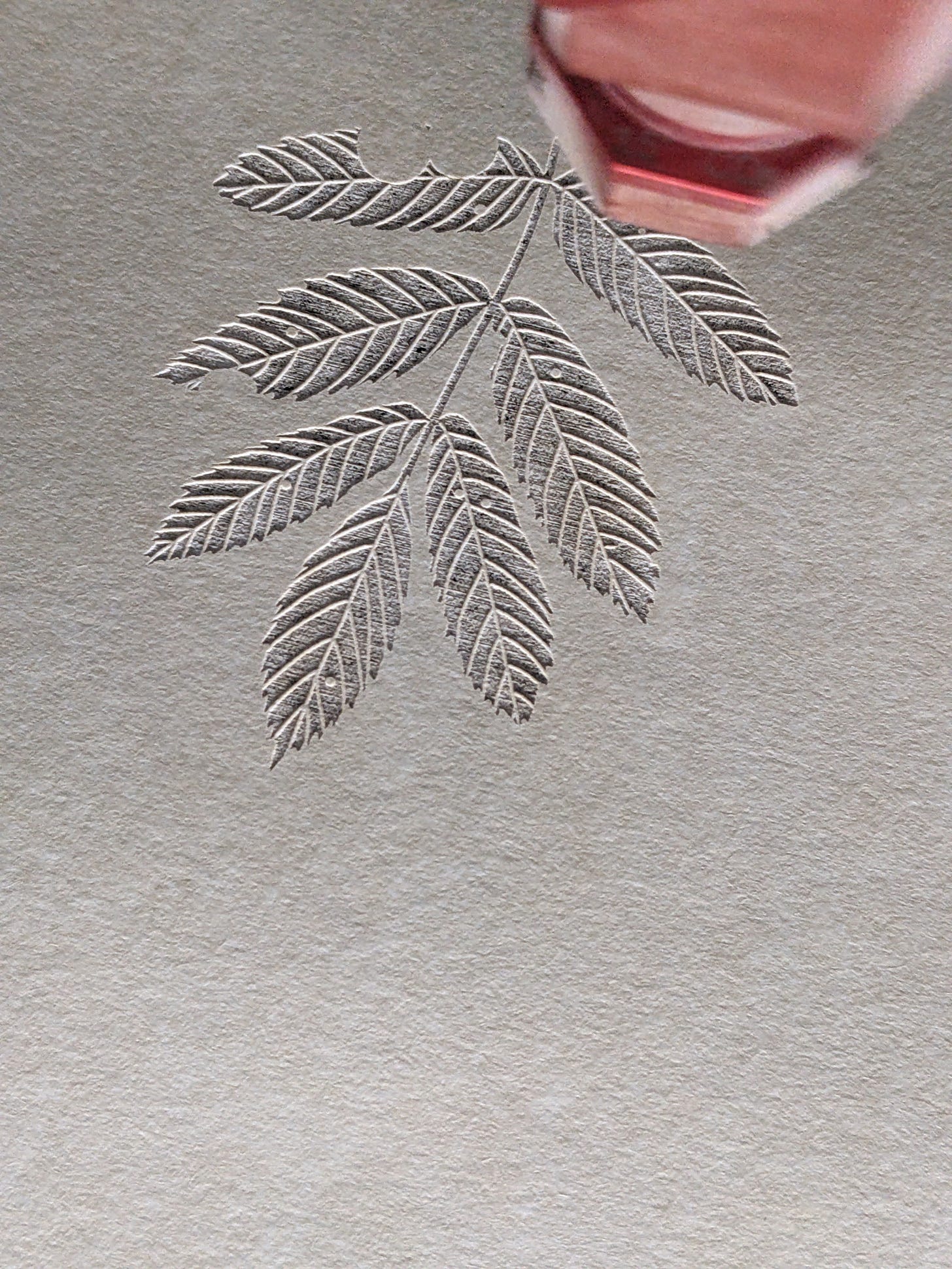laser engraving speedy 300