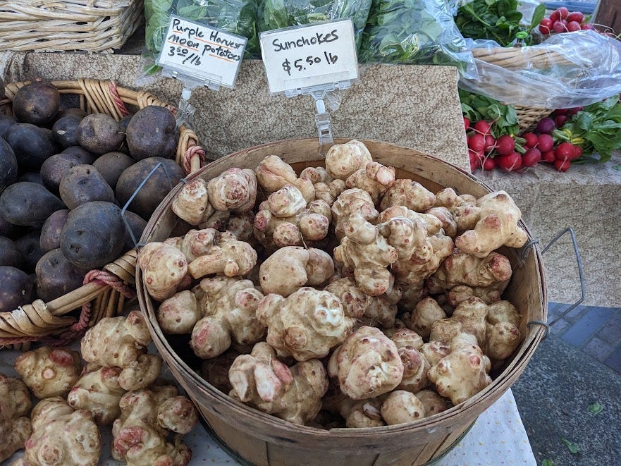a basket of sunchokes