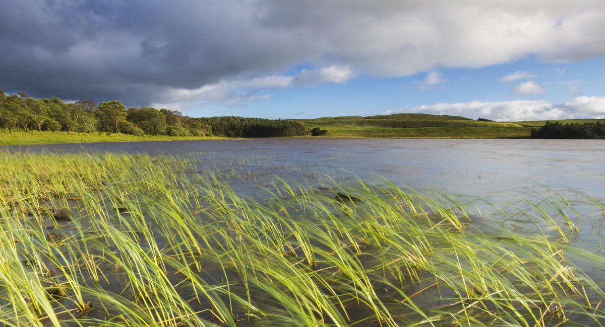 Successor named as Northumberland National Park chief retires after 20 years