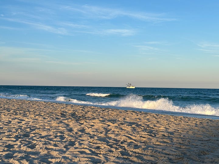 Beach scenes