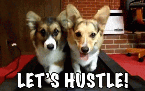 Lets Hustle GIF - Corgi Lets Hustle Dogs GIFs Lets Hustle GIF - Corgi Lets Hustle Dogs GIFs