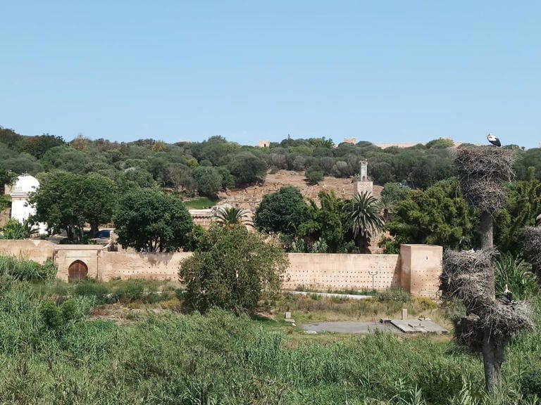 Rabat-1