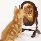 This Is Not A Drill - Part 2