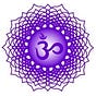 De Nieuwe Media's avatar