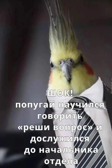 Получается, если в этом меме заменить «попугай» на «стохастический попугай», то это будет шутка про GPT 5 Получается, если в этом меме заменить «попугай» на «стохастический попугай», то это будет шутка про GPT 5