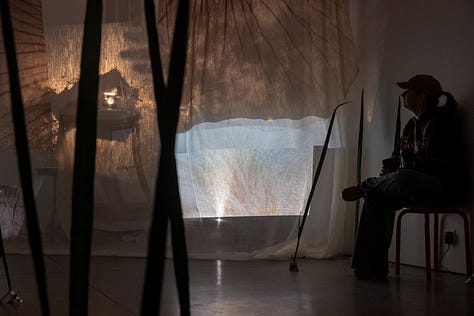 photos by Chris Uhren PITARTS Warhol Creative Trust Visual Arts of trē seguritan abalos