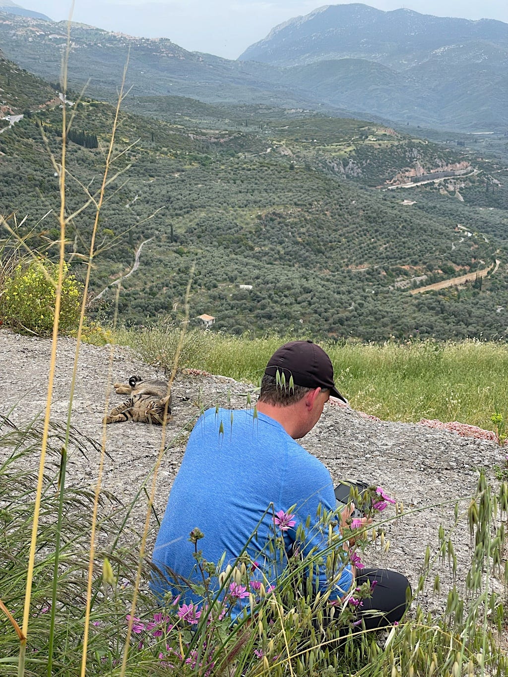 Chris went renegade and flew his drone over the site from this dirt road behind a screen of tall weeds.