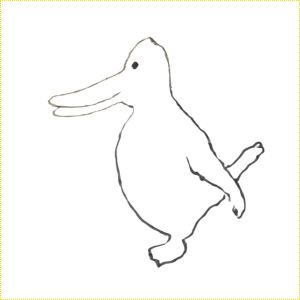 Nuestro amigo el conejo ya convertido en pato