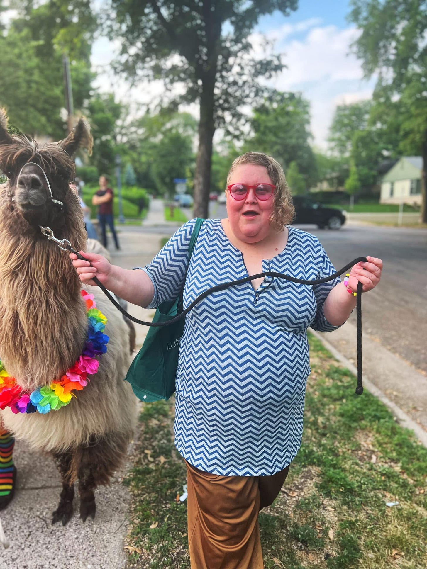 Alison leading a llama down a sidewalk. The llama's hair is in its eyes. Alison is wearing red glasses, and a blue and gray dress with a chevron stripe. A few people are in the background but are indistinct.