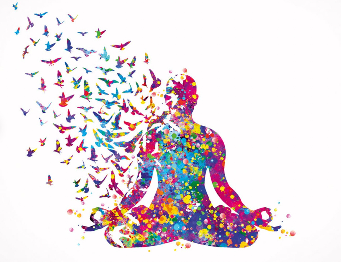 meditation, color, birds, sing, thoughts, sit, easy meditation, color, birds, sing, thoughts, sit, easy