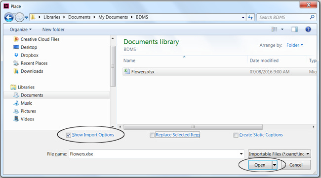 Place Excel spreadsheet into InDesign document. Place Excel spreadsheet into InDesign document.