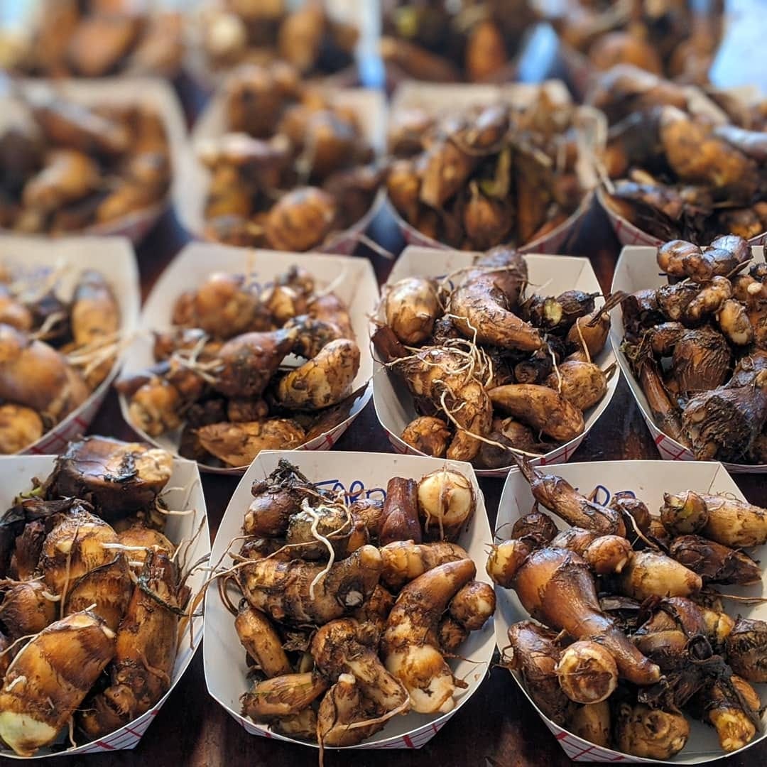 Today I'm making up our Eat It : Grow It harvest boxes to deliver to 'Friends in Need' (who Bountiful Cities have helped me connect with). Here's the process to make up 1lb boxes of #taro, a great example of a crop that you can eat and grow (plus the greens are edible). <br>
<br>
This pilot project is supported by @slowfoodusa @slowfoodavl<br>
<br>
#eatitgrowit #communitysupported #communitysupport #foodboxes #growyourownfood
