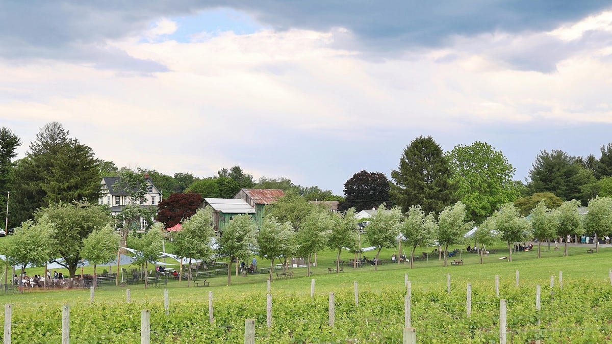 Creating ‘more reasons, rituals and occasions’ seen as a path to reviving interest in wine: study