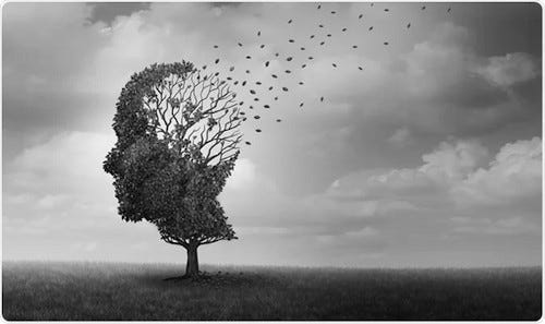 A tree with leaves coming out of it

Description automatically generated