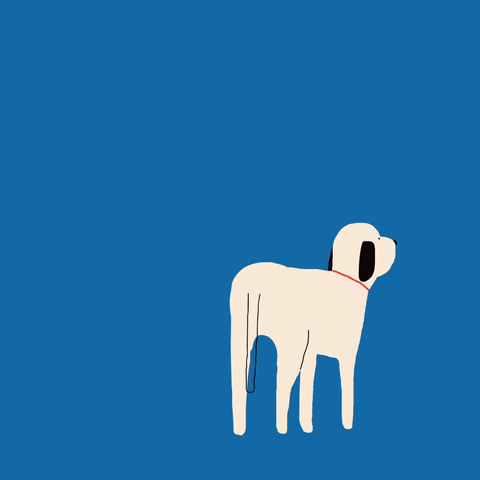 A white dog with a red collar
AI-generated content may be incorrect. A white dog with a red collar
AI-generated content may be incorrect.