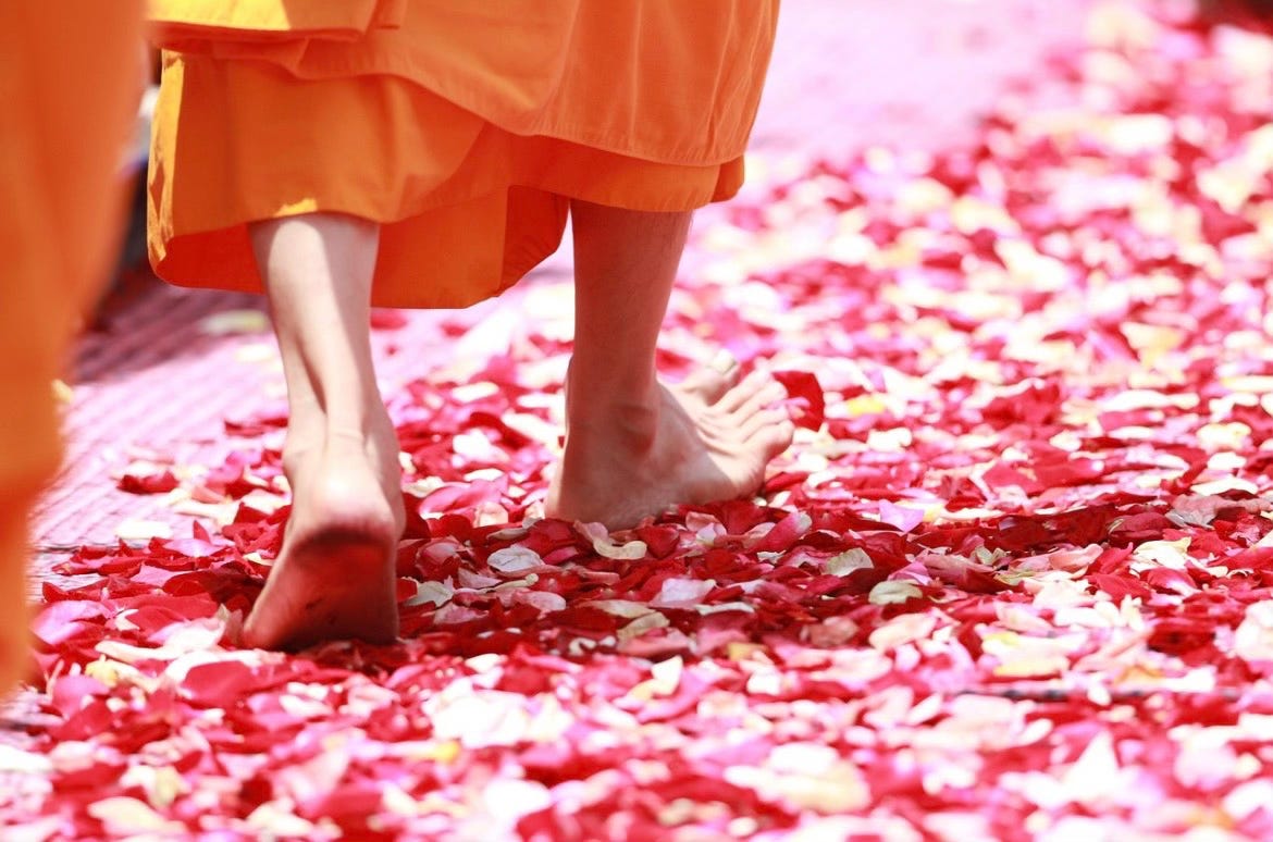 View of a monk walking on rose petals, bottom or orange robe, ankles and bare feet are visible View of a monk walking on rose petals, bottom or orange robe, ankles and bare feet are visible