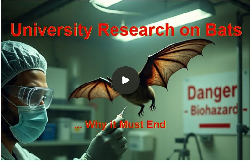 Colorado Connection & University Research on Bats ... Why it must end.