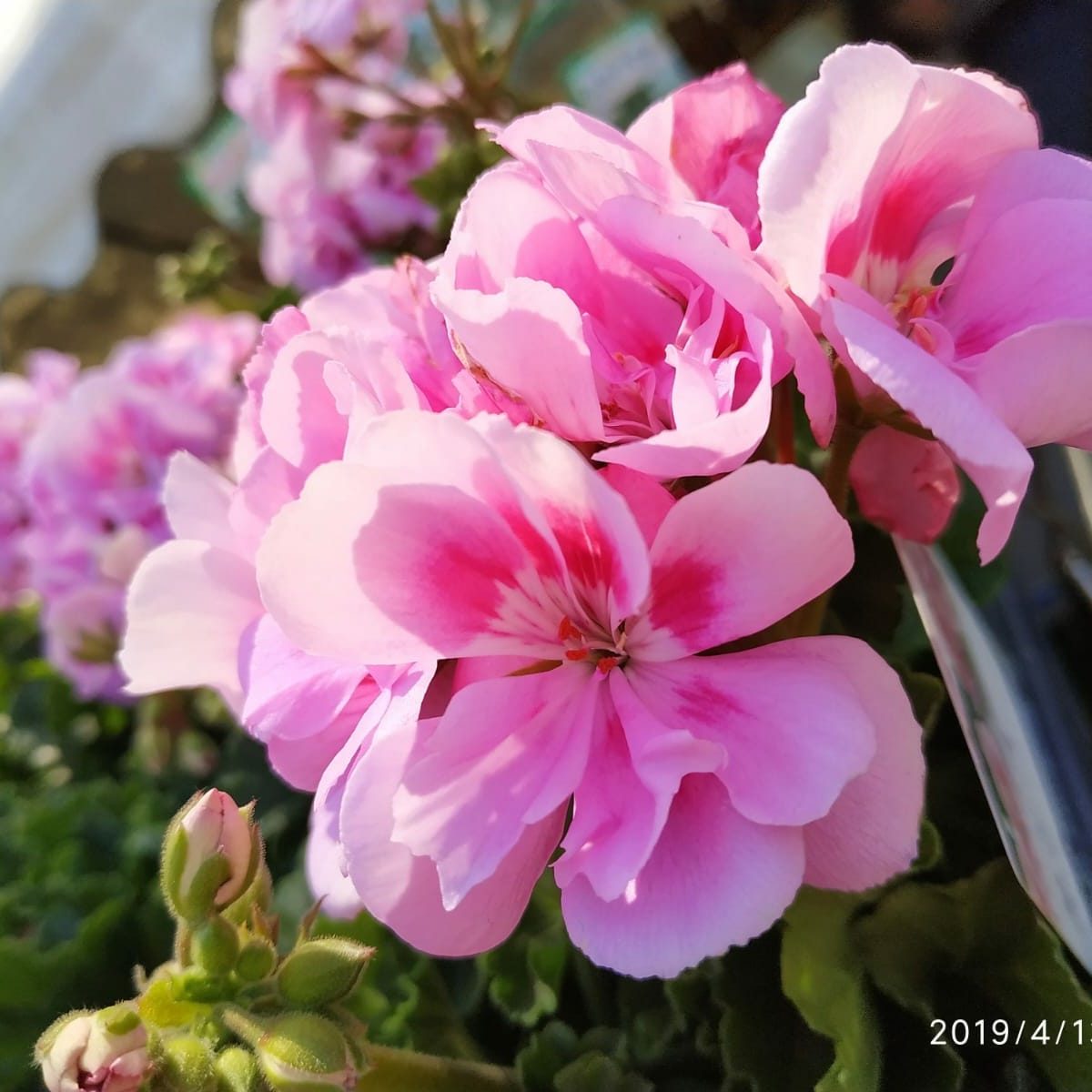 Making Incoherence Coherent