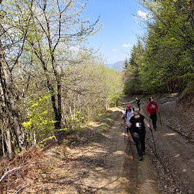 Bosnia Humbled Me on the Hills Above Kakanj
