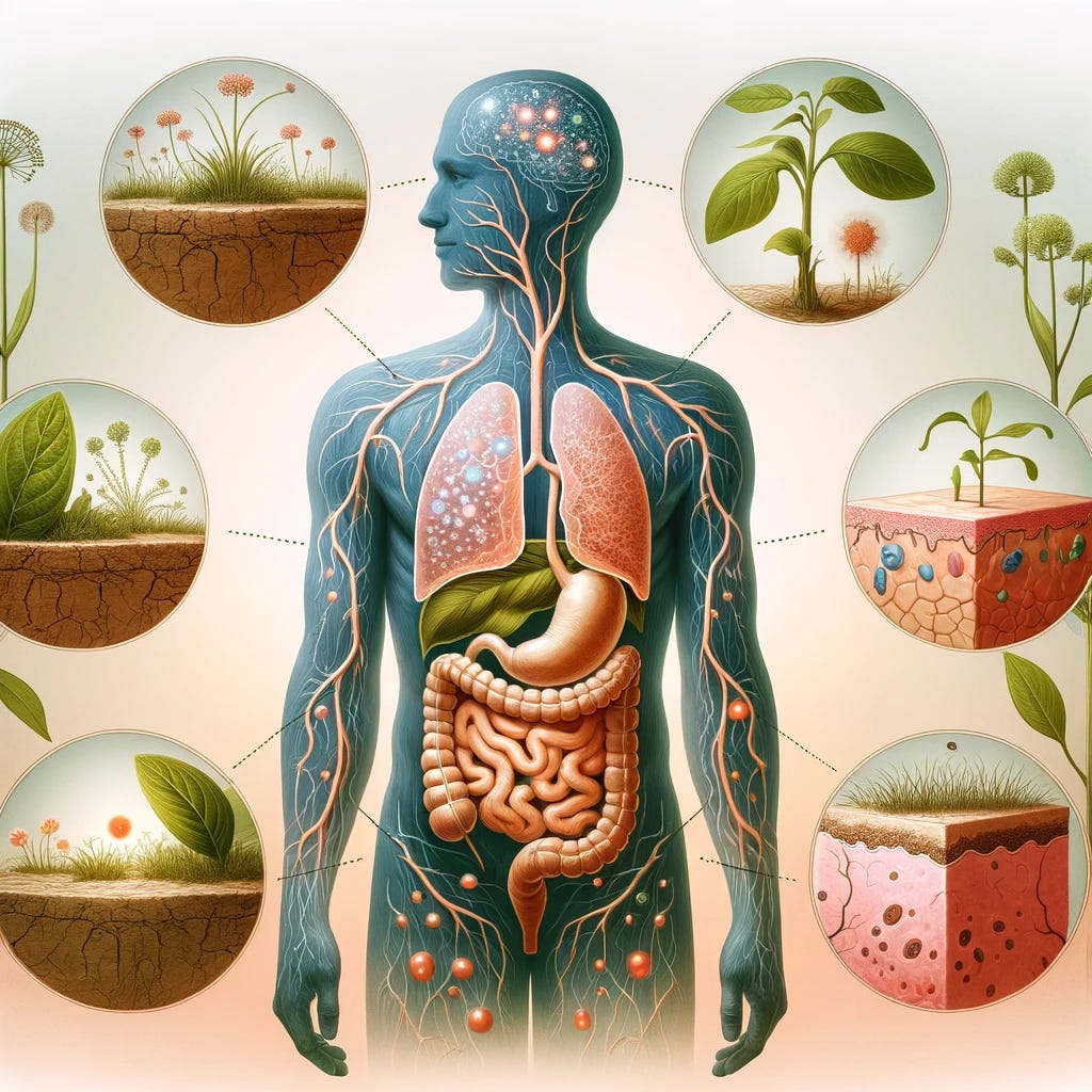 An illustration that creatively represents the interconnectedness of the human gut microbiome with various skin conditions like atopic dermatitis, psoriasis, acne, and alopecia areata. The image should feature a human silhouette with a transparent outline revealing a flourishing garden inside the body, symbolizing a healthy gut microbiome. Surrounding the silhouette, different sections of skin depicting each condition mentioned are shown, with subtle visual cues like red patches for psoriasis, dry skin for atopic dermatitis, inflamed spots for acne, and a bald patch for alopecia areata. The background is a soft gradient, suggesting a healthy balance and harmony between the gut and skin health, without using any alphabets or numbers.