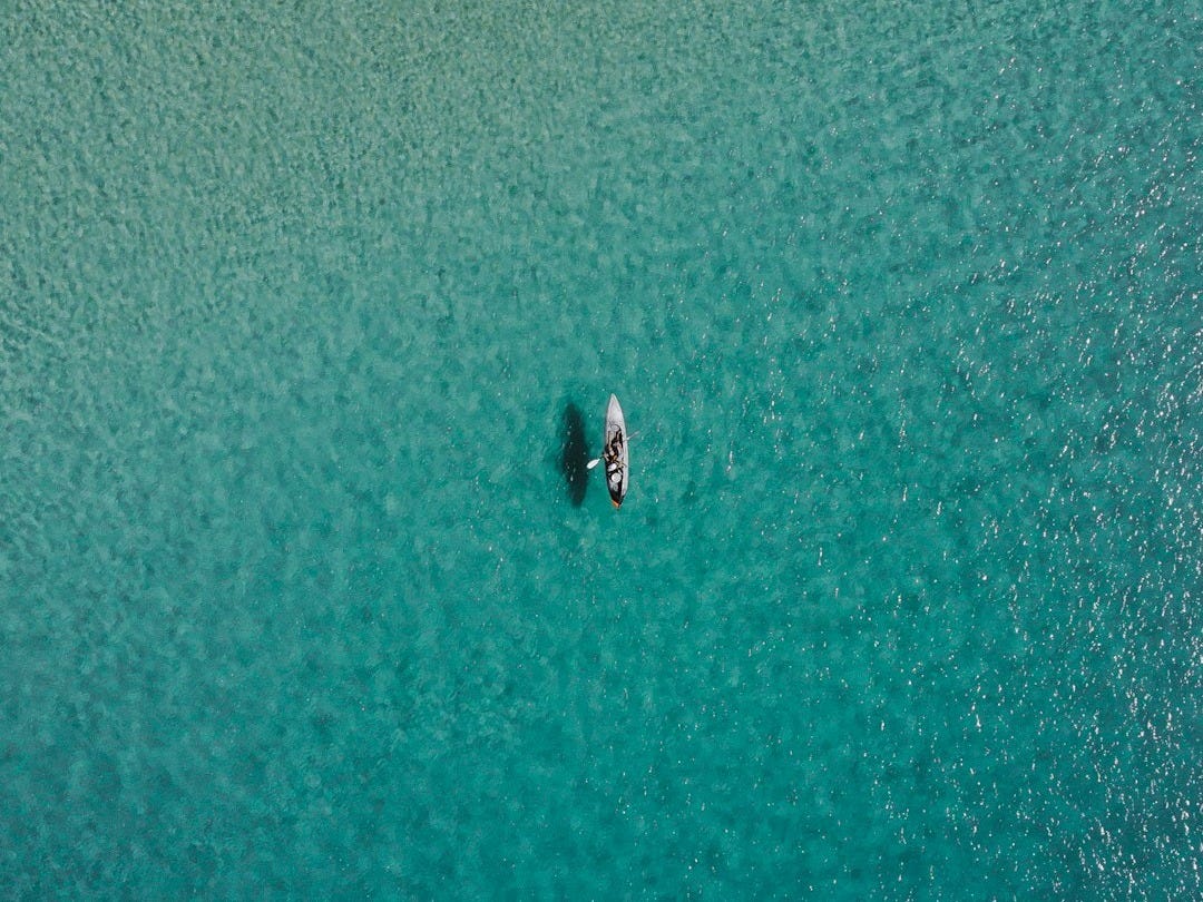 white paddle boat on body of water white paddle boat on body of water