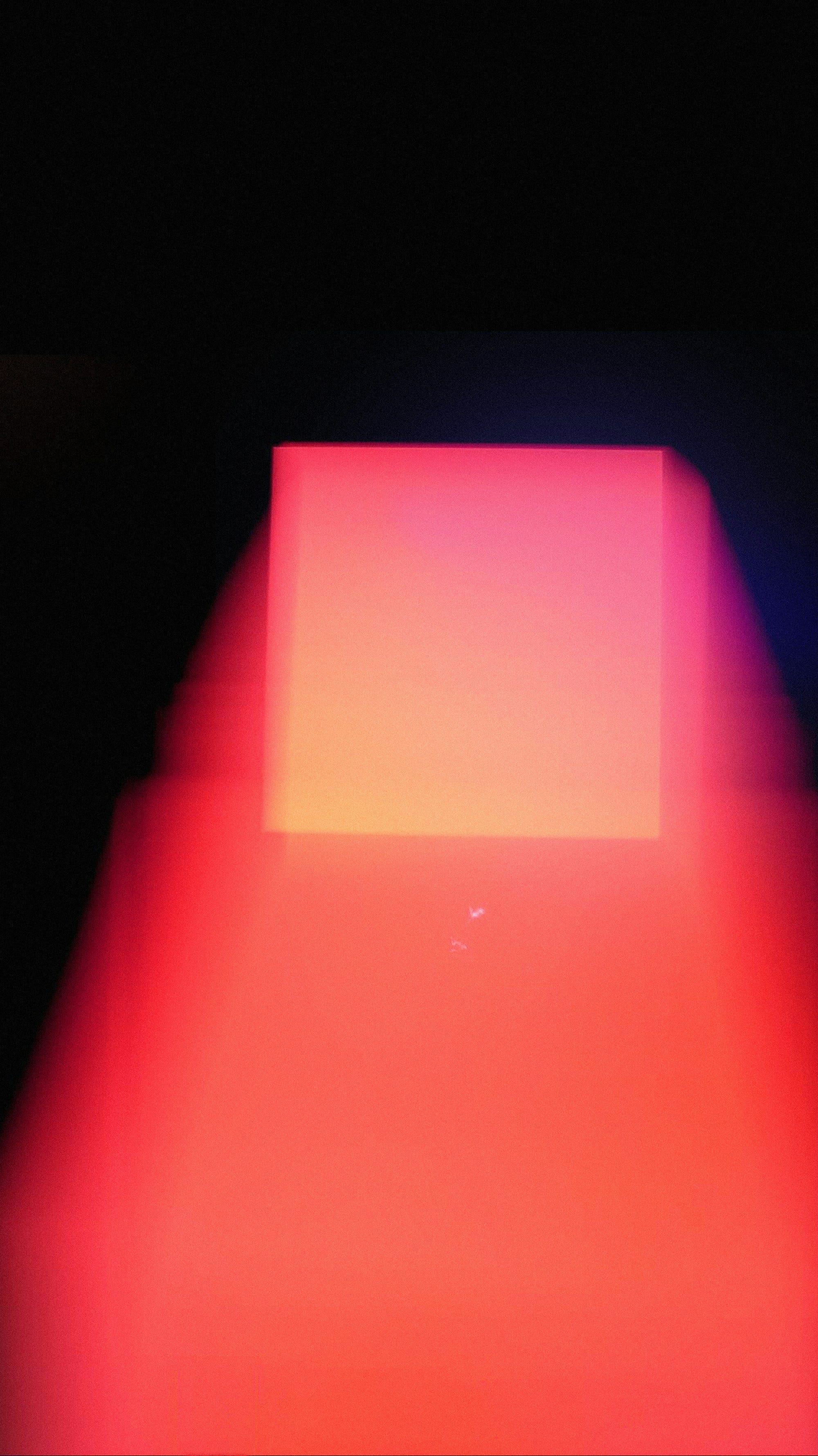 Principles Over Paths: Your Shortcut to FIRE