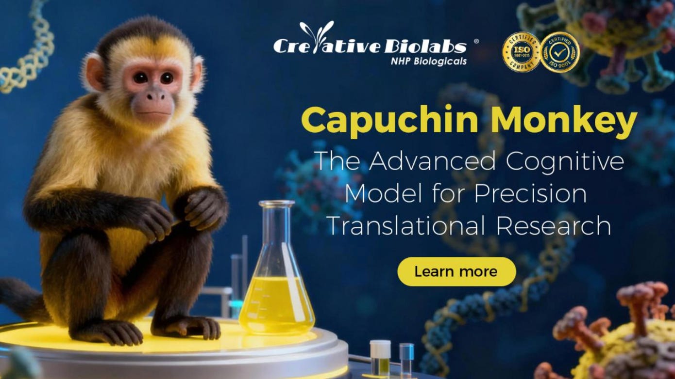 adamtooze.substack.com - Adam Tooze - Chartbook 426 Greenland v. the price of lab monkeys.