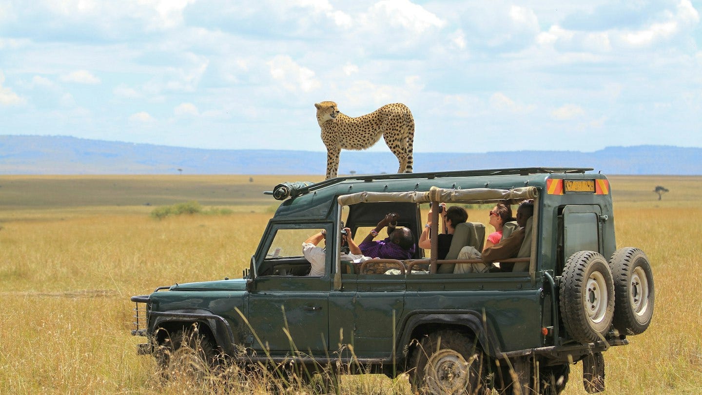 Where to go for your first safari in Africa - Lonely Planet