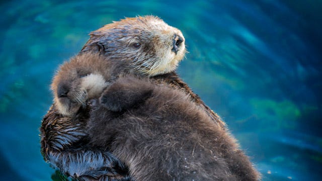 THEY'RE HUGGING THEY'RE HUGGING