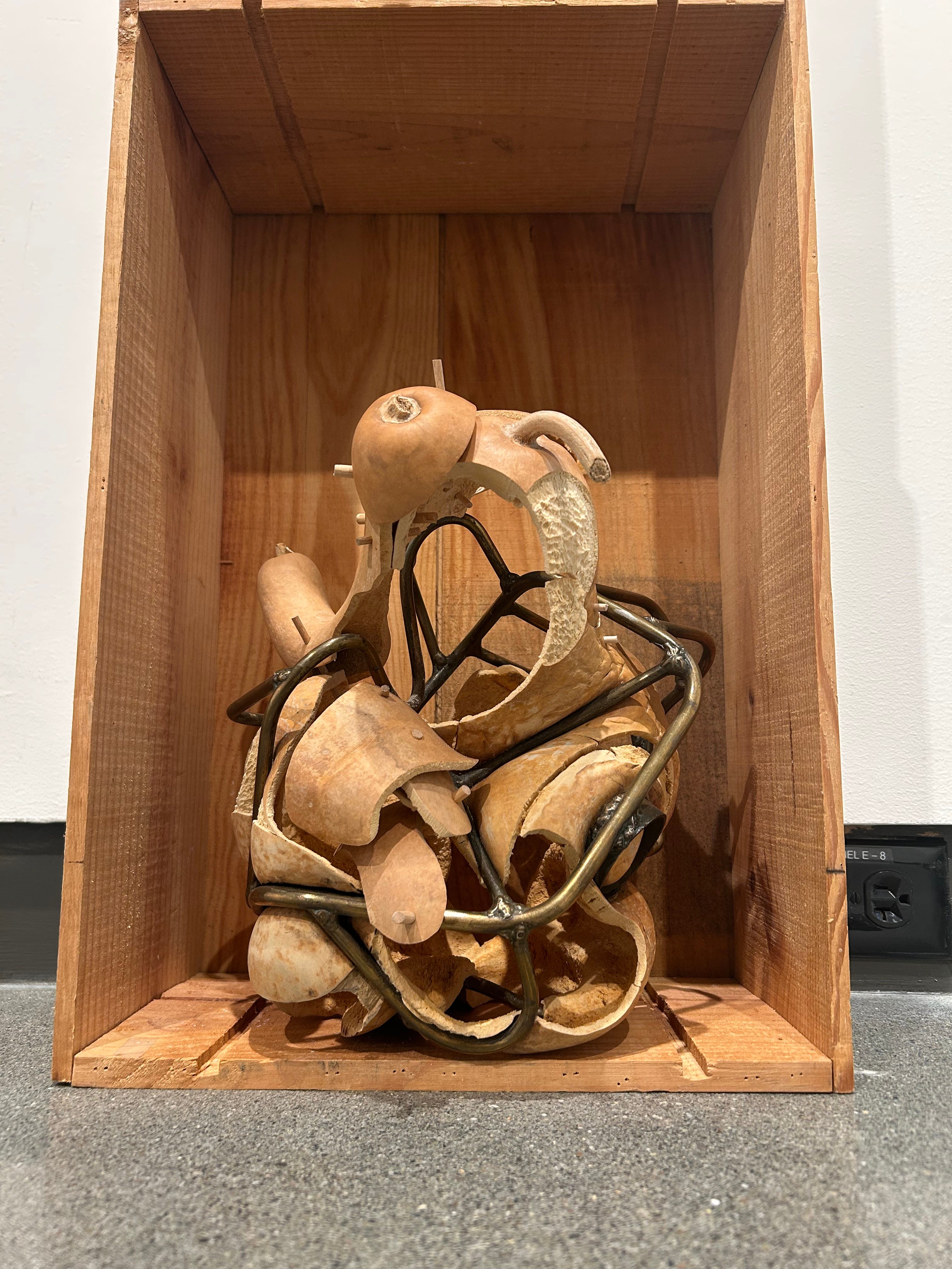 Mysterious objects, mysteriously arranged - by Jen Graves
