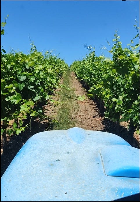 Experience Tractor Vision™ before hedging.