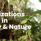 Civilizations in History. . . and Nature