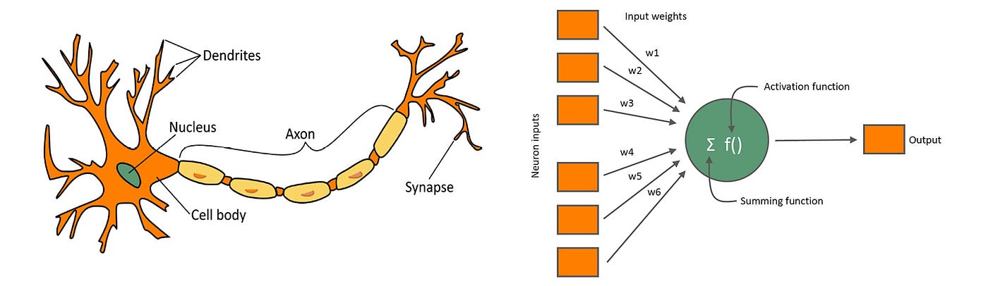 Artificial Neural Networks | The Startup