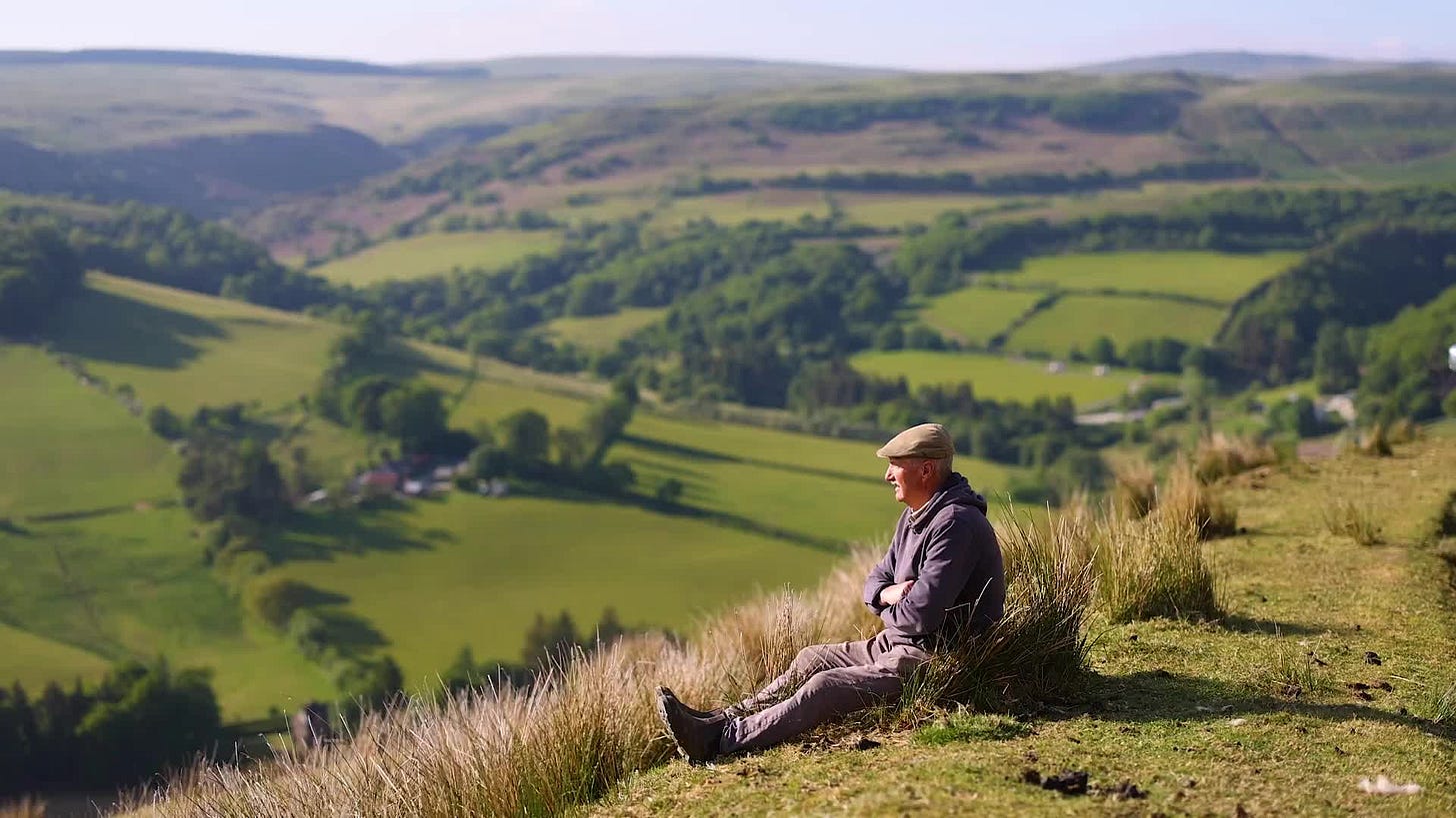 What is the British countryside really for?