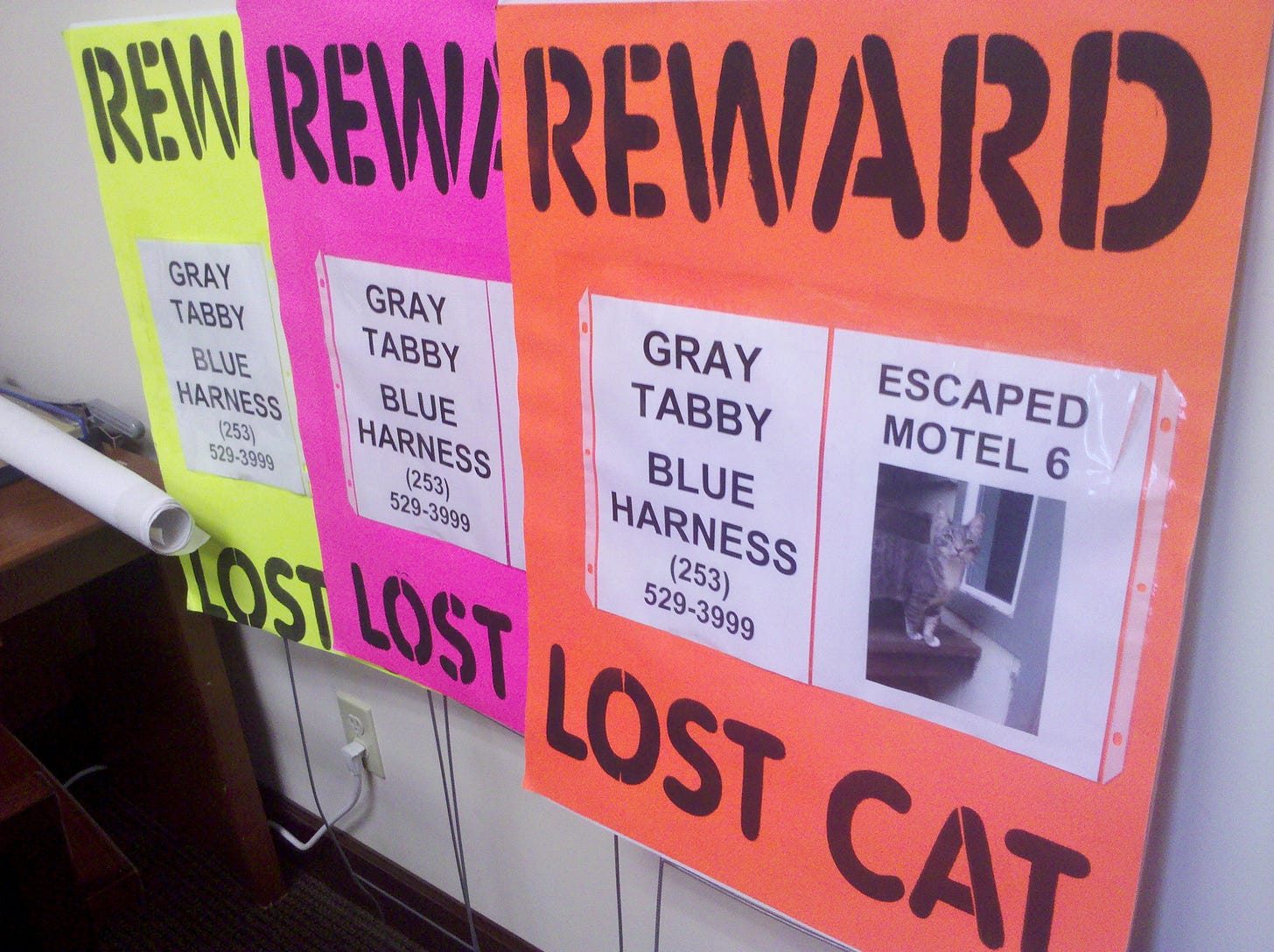 Sample neon LOST CAT posters
