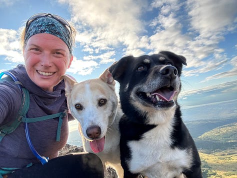 Photos of dogs