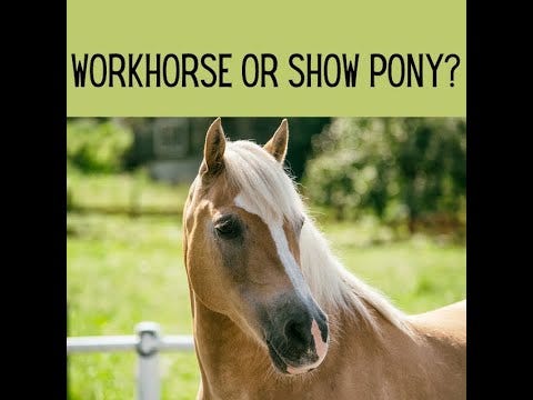 A horse with a white mane

Description automatically generated