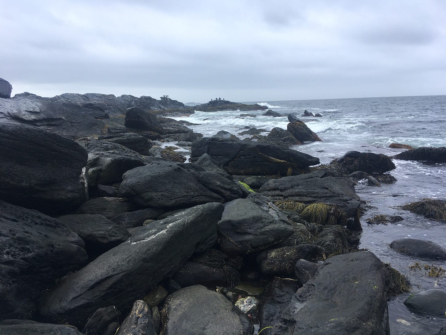 Dark gray boulders lapped by waves on an overcast day