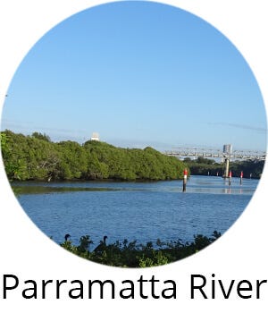 Parramatta River Parramatta River