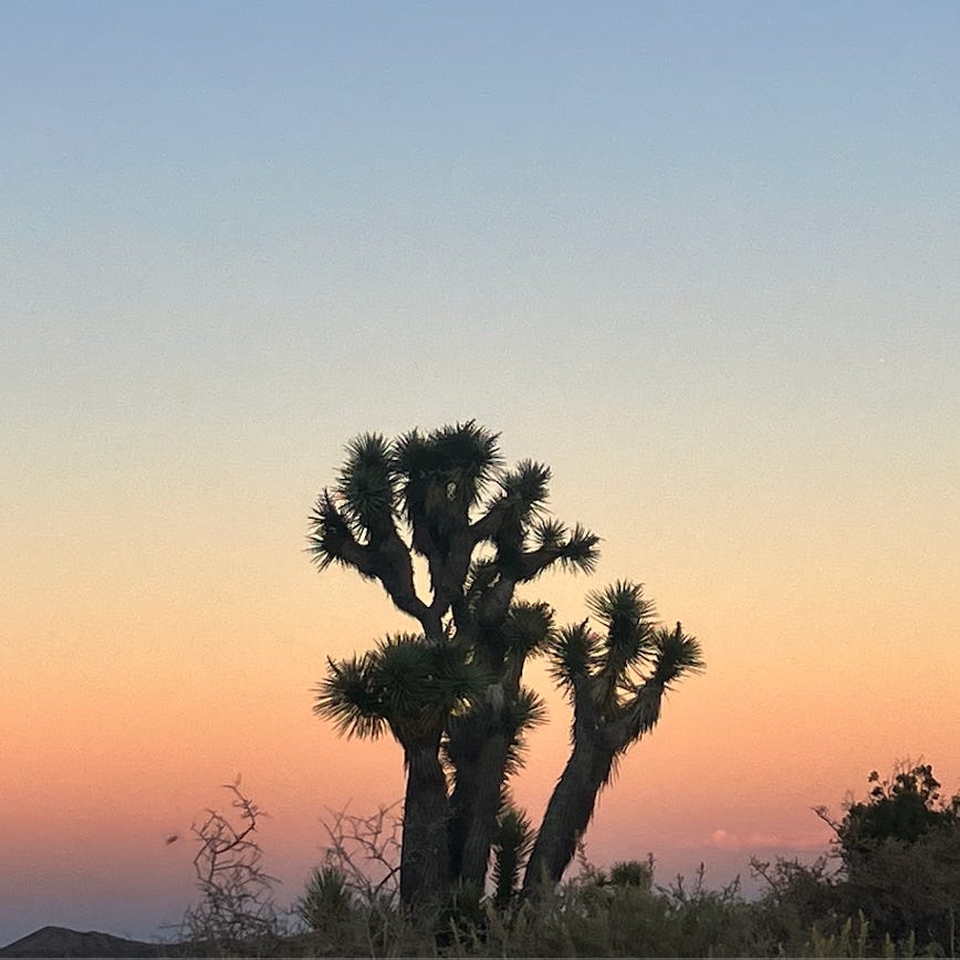 this is where i rest