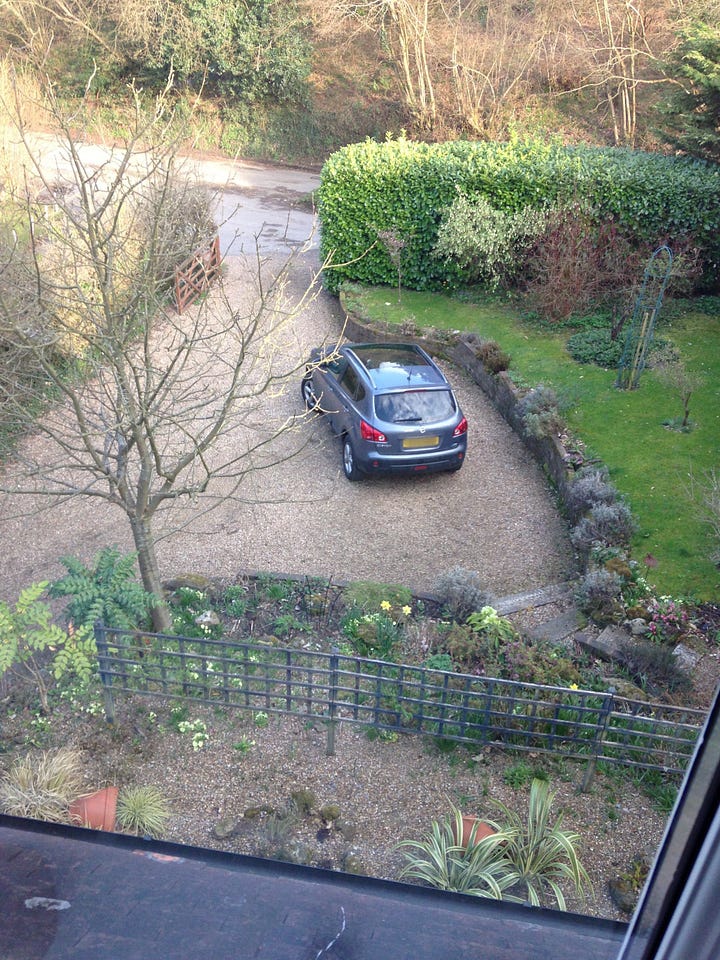 An overgrown hillside garden and steep driveway.