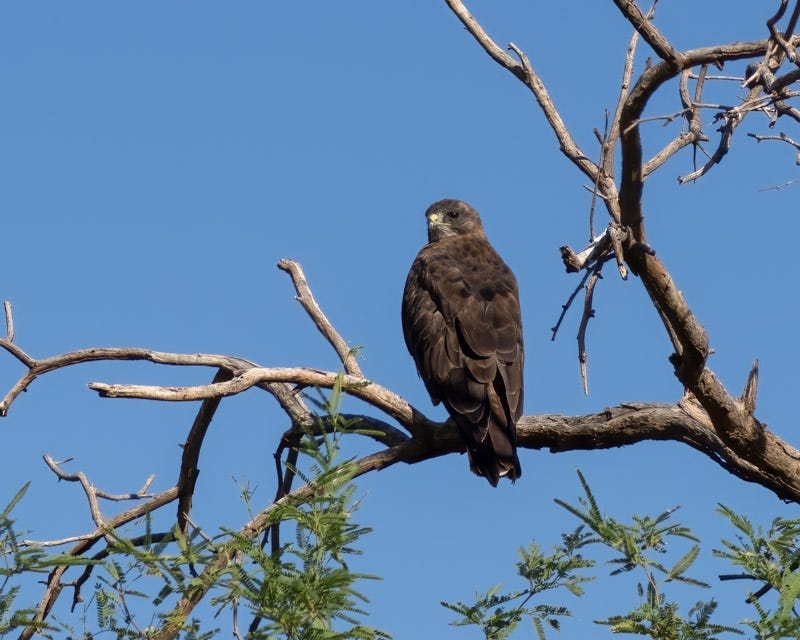 20250731-Manville-105-Edit.jpg 20250731-Manville-105-Edit.jpg