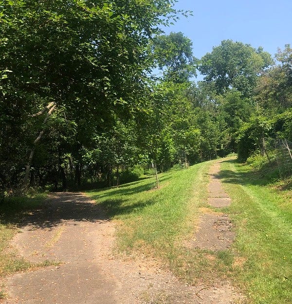 Long forgotten and used roads become trails in South Side Park.