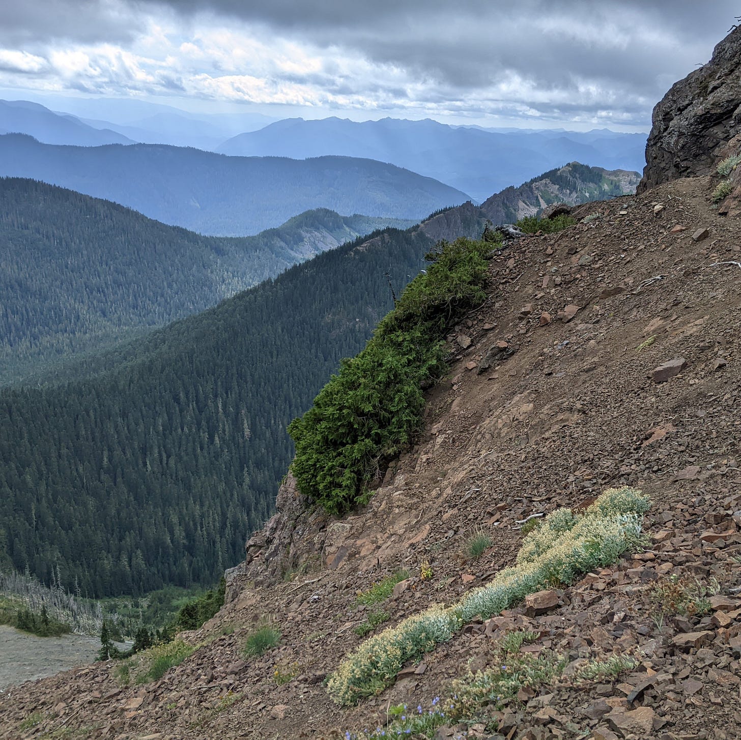 view of pine covered mountains from a high rocky ridge