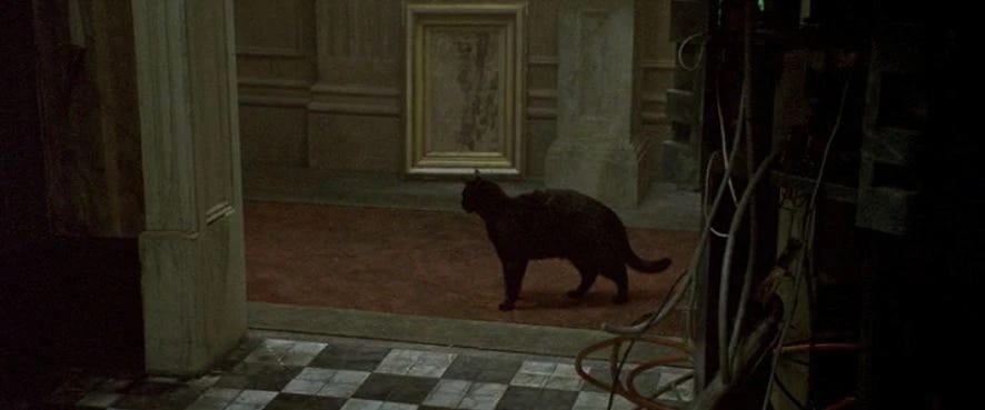 Déjà vu | Matrix Wiki | Fandom