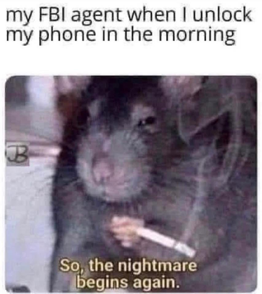 May be an image of text that says 'my FBI agent when I unlock my phone in the morning B So, the nightmare begins again.'