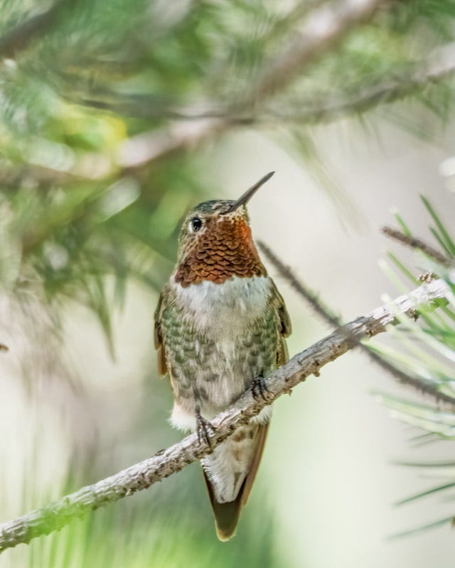20260818-MillerCanyon-804-Edit.jpg