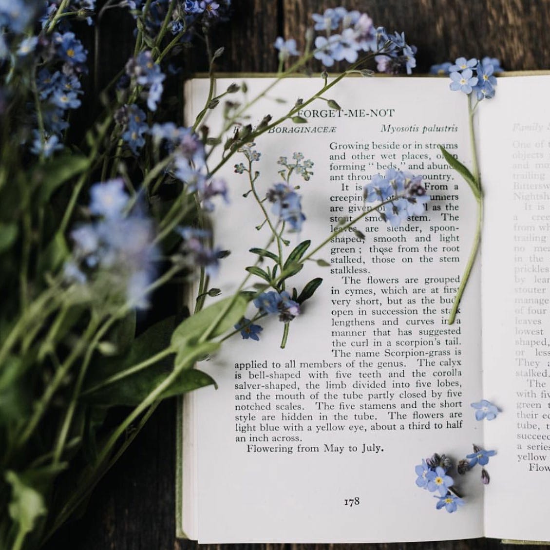 from the pen of pristine